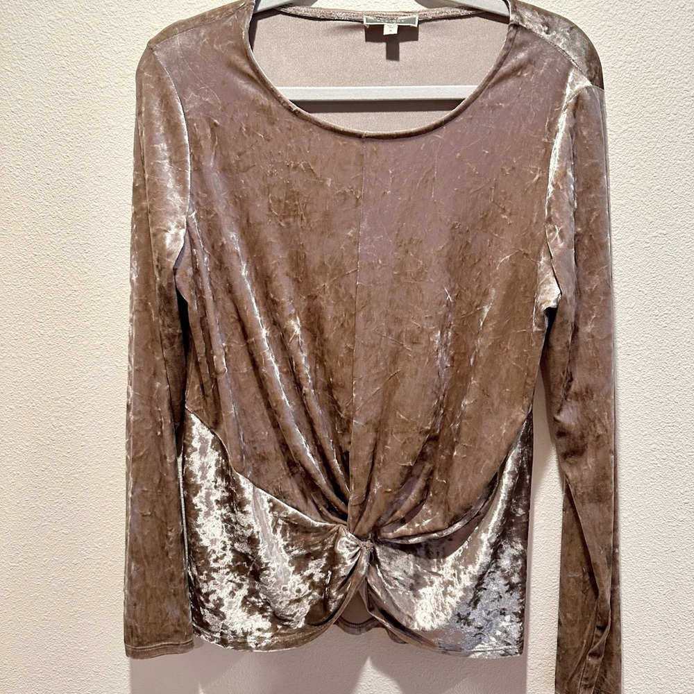 Champagne Velvet Evening Blouse, NWOT, Medium